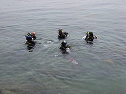 �Z�u���V�[�Y�u�r�[�`�N���[���i�b�v�C�x���g�v�J�Ái����25�N7��20���j