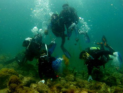 �Z�u���V�[�Y�u�r�[�`�N���[���i�b�v�C�x���g�v�J�Ái����25�N7��20���j