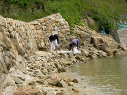 �Z�u���V�[�Y�u�r�[�`�N���[���i�b�v�C�x���g�v�J�Ái����25�N7��20���j