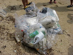 �Z�u���V�[�Y�u�r�[�`�N���[���i�b�v�C�x���g�v�J�Ái����25�N7��20���j