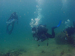 �Z�u���V�[�Y�u�r�[�`�N���[���i�b�v�C�x���g�v�J�Ái����25�N7��20���j